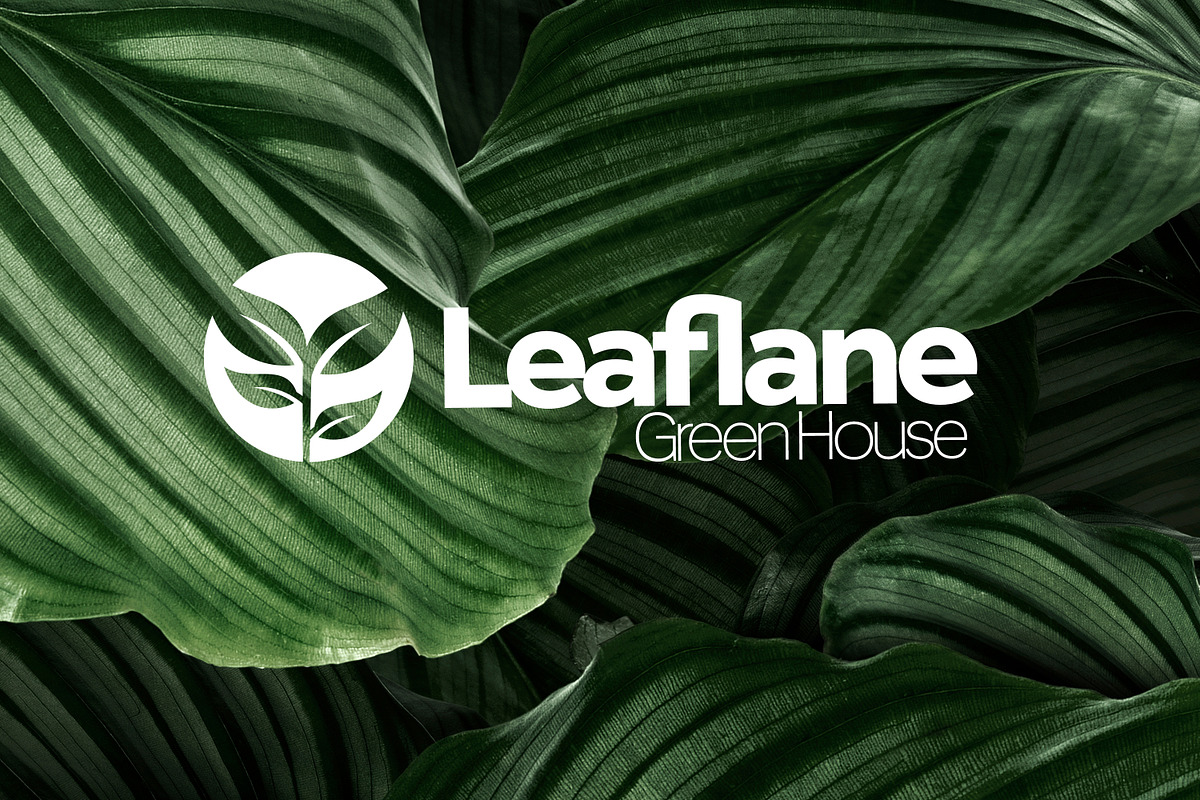 Leaf Logo Template Bundle, an Illustration by Tekuni (Photo 7 of 10)