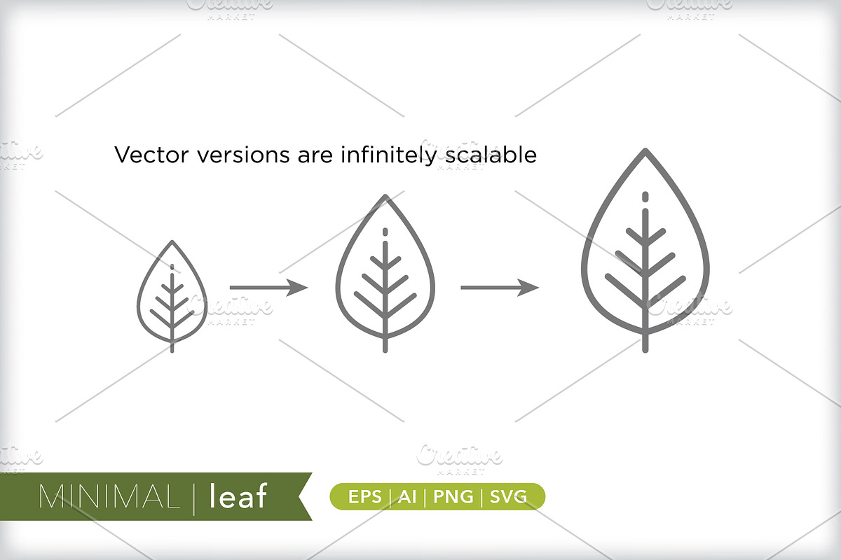 Minimal leaf icons, an Outline Icon by Picture Window (Photo 2 of 5)