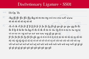 Omologo Serif Semi Stencil font, a Serif Font by Bellini studio (Thumbnail 8 of 13)