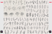 Procreate Botanical Stamp Flower Art, a Brush Add-On by ArtPrintBabe (Thumbnail 3 of 6)