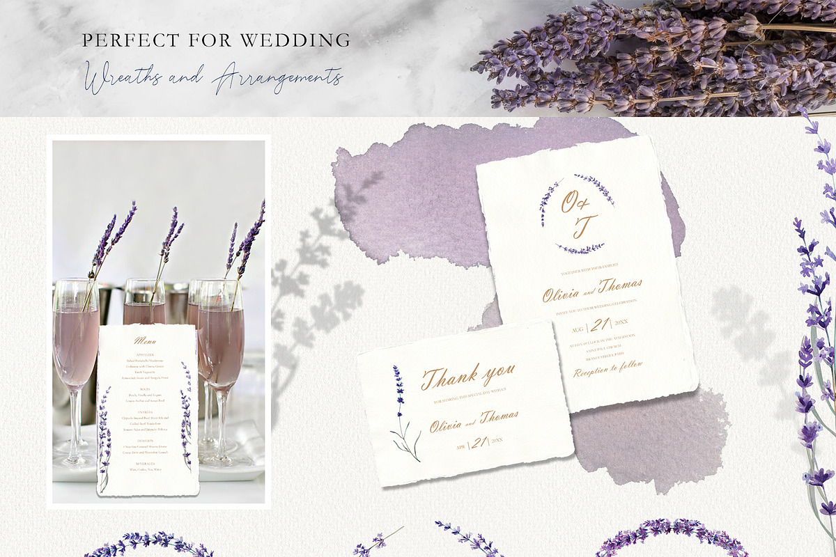 Love Lavender Set, an Illustration by Olga Koelsch (Photo 3 of 11)