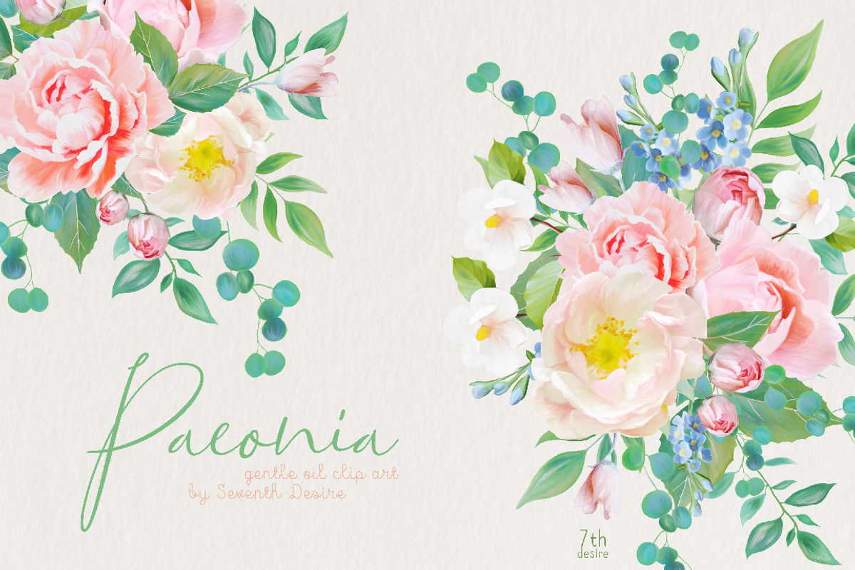 Paeonia, an Illustration by TheSeventhDesire (Photo 1 of 4)