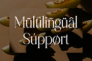 Charlotten - Elegant & Stylish Serif, a Serif Font by RockboyStd (Thumbnail 8 of 12)