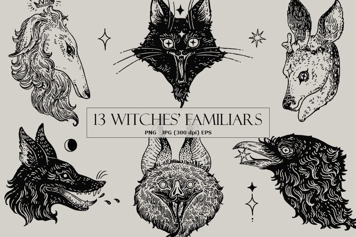 13 Witches' Familiars, an Illustration by Anastasia (Photo 1 of 8)