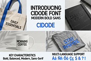 Cidode | Modern Elegant Serif, a Script Font by Astuti Studio (Thumbnail 17 of 24)