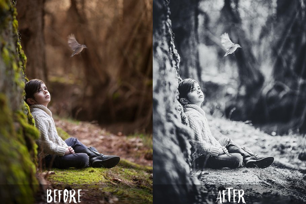 2100+ Lightroom & ACR Presets Bundle, an Action Add-On by PixelHive Pro (Photo 107 of 114)
