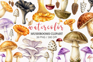 Watercolor Mushrooms clipart, an Object Illustration by fashionaddict