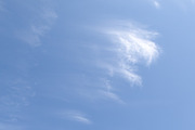 Blue Skies for sky replacement, a Background Photo by Liz Mitchell Photography (Thumbnail 5 of 12)