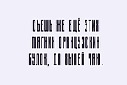 Langella Tall Font Family (16 Fonts), a Sans Serif Font by alpercakici (Thumbnail 11 of 16)