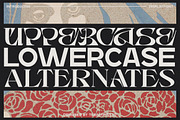 Blaster - Combination Typeface, a Font by tebaltipislab (Thumbnail 3 of 12)