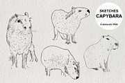 Sketches of capybara animals in PNG, an Animal Illustration by LOKSKIH (Thumbnail 1 of 4)