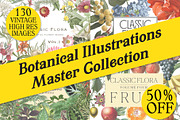 Botanical Master Collection, a Food Illustration by BlackBird Foundry (Thumbnail 1 of 10)