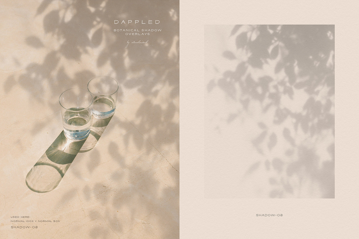 Dappled - Botanical Shadow Overlays, a Texture Graphic by alonahaidash (Photo 13 of 16)
