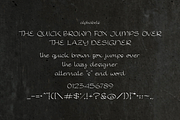 Jenivers Font, a Script Font by ponuppo (Thumbnail 2 of 4)