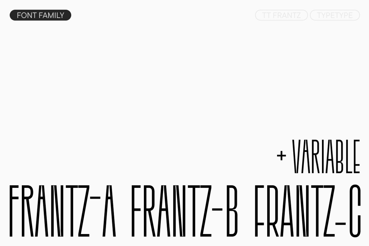 TT Frantz, a Sans Serif Font by TypeType (Photo 4 of 12)