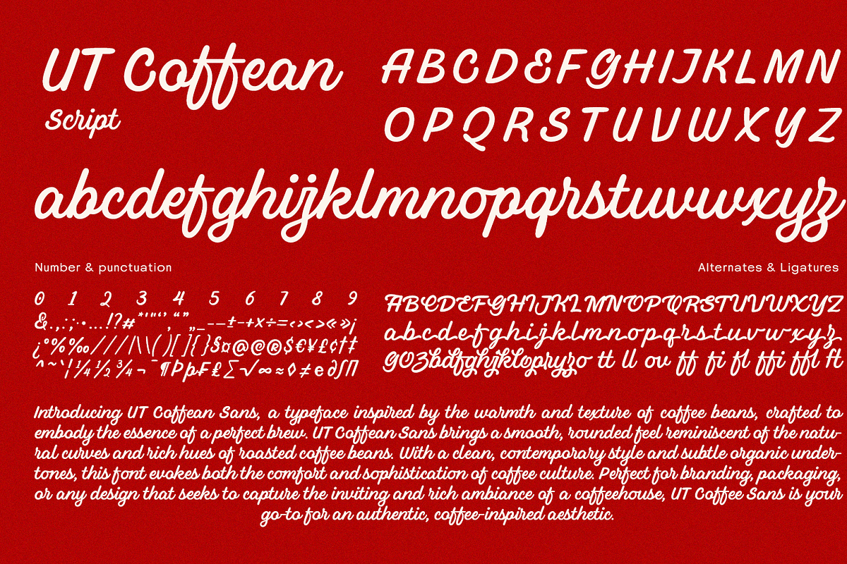UT Coffean Font Duo, a Sans Serif Font by Universitype (Photo 21 of 32)