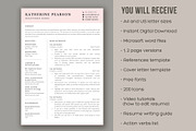 Nurse Resume Template for word, a Resume Template by aivos (Thumbnail 5 of 6)