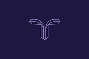 T Logo Initial, a Branding & Logo Template by Logy
