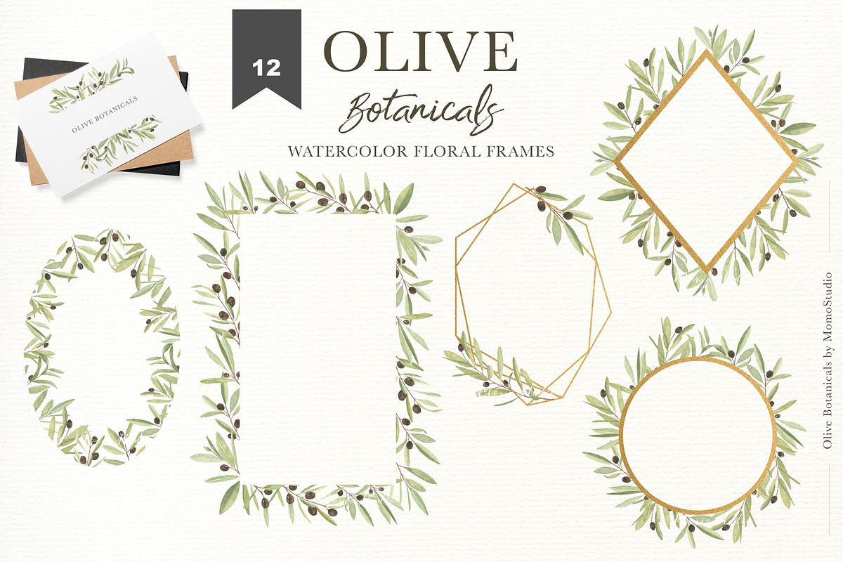 OLIVE BOTANICALS Watercolor & Line, a Work Illustration by Momo Studio (Photo 9 of 15)
