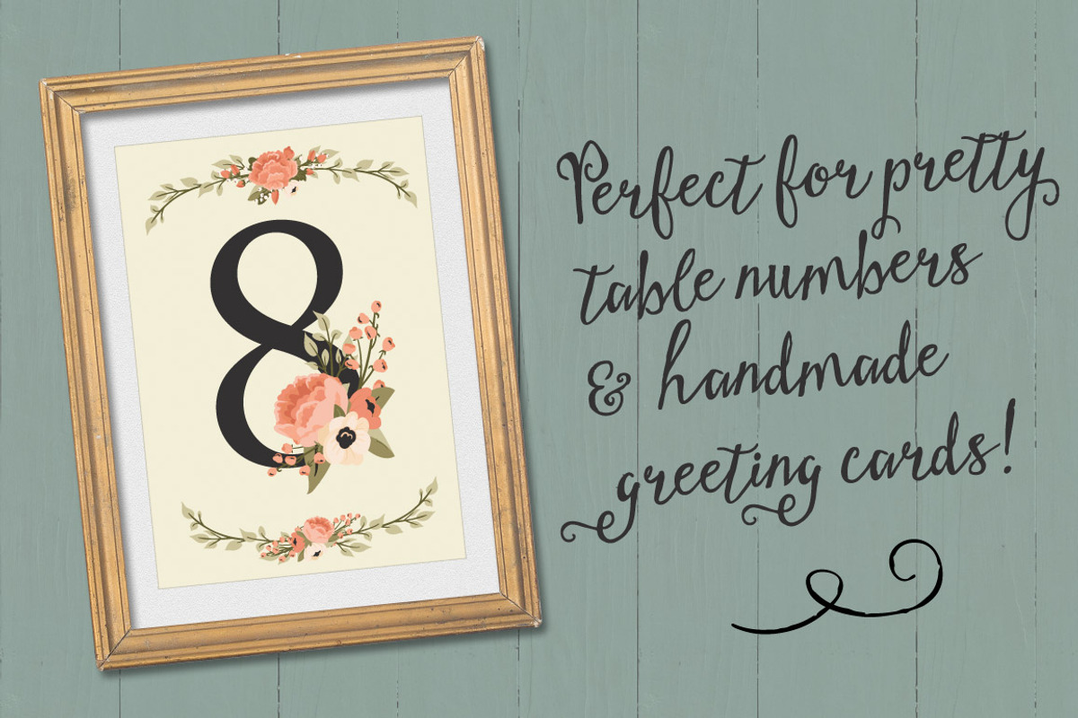 Peach Floral Numbers With Vectors, an Illustration by Amanda Ilkov (Photo 4 of 5)