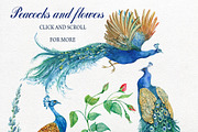 Peacocks and flowers/watercolor, an Illustration by MitrushovaArt (Thumbnail 2 of 7)