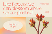 Smyth Kelagon Elegant Thin Sans, a Sans Serif Font by timelesstype.co (Thumbnail 6 of 20)