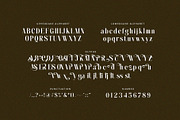 Saliric - Elegant Serif Font, a Serif Font by TypeLogue (Thumbnail 5 of 5)