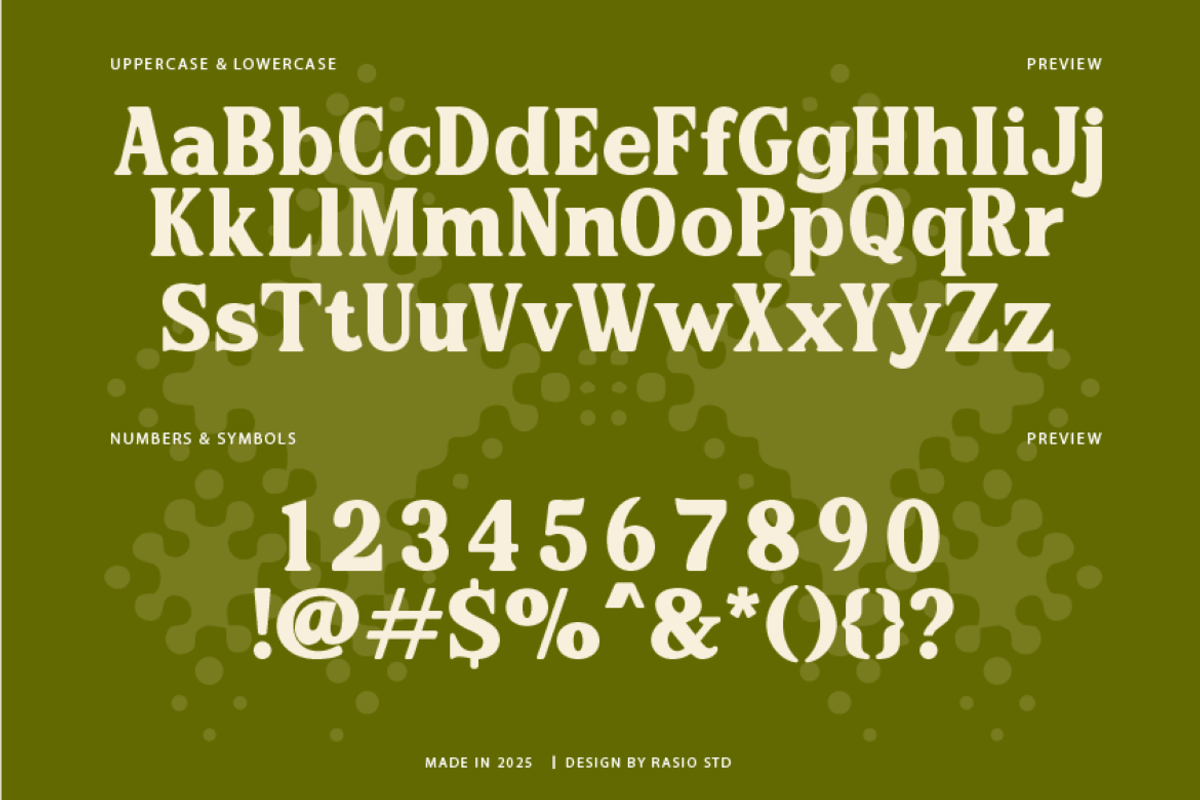 Paverno Modern Display Font, a Sans Serif Font by Rasio Studio (Photo 2 of 8)