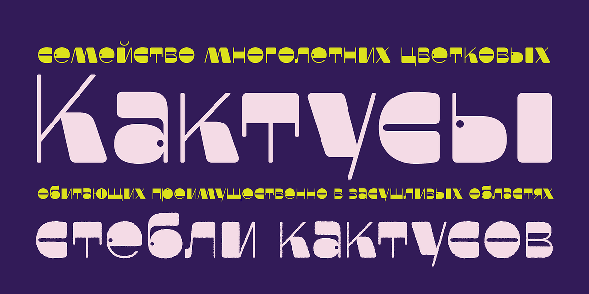 Faddy, a Sans Serif Font by Ani Dimitrova (Photo 16 of 19)