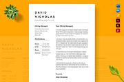 Executive Career Resume, a Resume Template by Nur Designer (Thumbnail 2 of 4)
