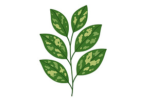 Green leaves with unique patterns on, a Nature Photo by ZinetroN
