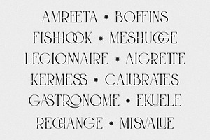 Roashe-Serif Font Family Updated