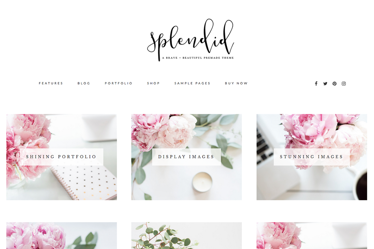 Splendid Wordpress Theme, a WordPress Template by brave + beautiful designs (Photo 4 of 5)