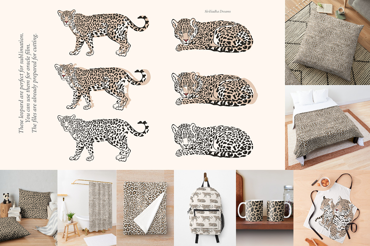 African leopard, an Animal Illustration by Siriliadka Dreams (Photo 4 of 6)
