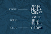 Aerial | Multipurpose serif, a Serif Font by ClevUs (Thumbnail 11 of 12)