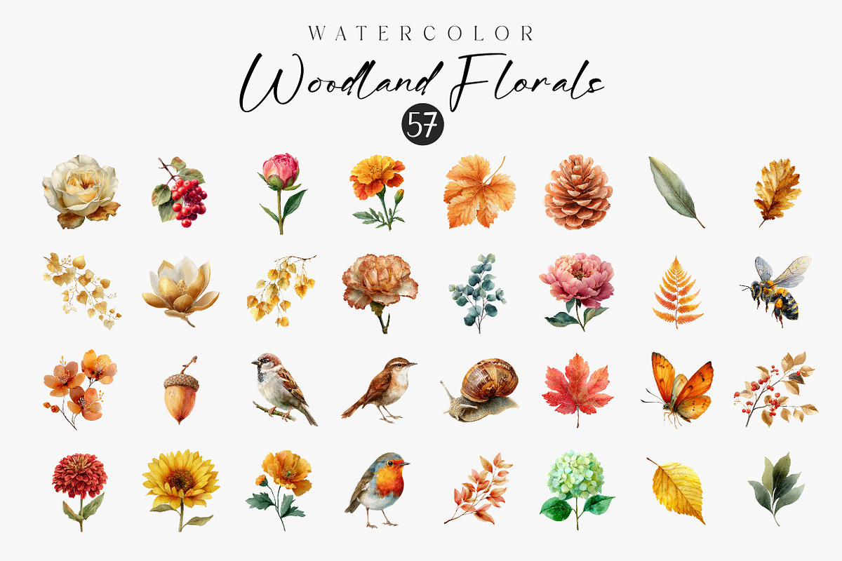 Florals and Woodland Clipart, an Illustration by CreationArt (Photo 3 of 3)