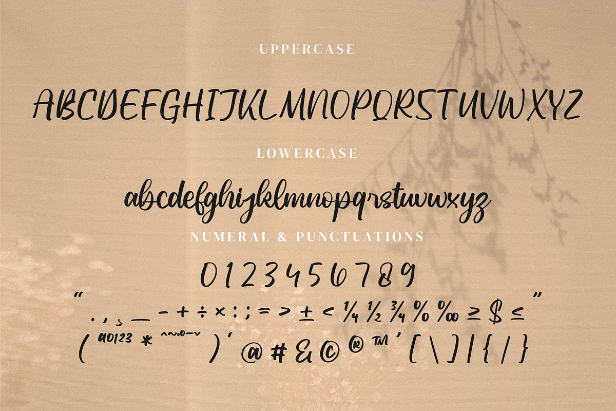 Leonttina, a Script Font by Integritype Studio (Photo 9 of 15)