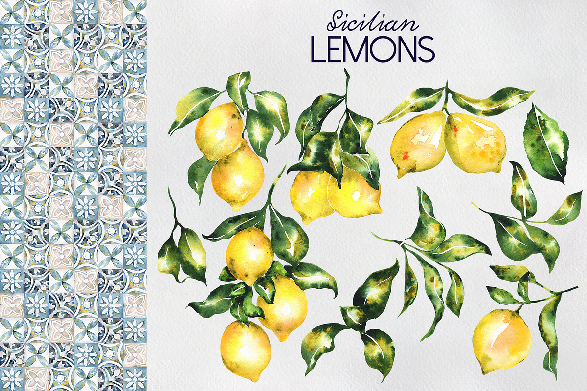 Sicilian lemons, an Education Illustration by LiliaUdod (Photo 2 of 8)