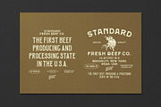 Roosevelt Font Family (Font Bundle), a Sans Serif Font by ngene (Thumbnail 4 of 12)