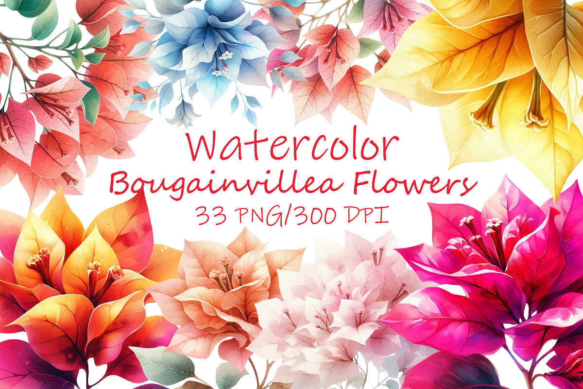 Bougainvillea Flowers Clipart Bundle, an Illustration by Libby Wishes (Photo 1 of 3)
