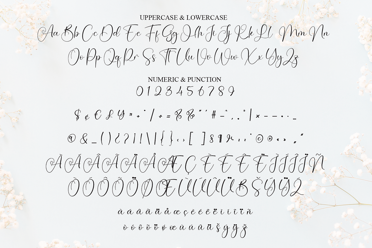 Melinda | Script Font, a Handwritten Font by Scratchones (Photo 7 of 9)