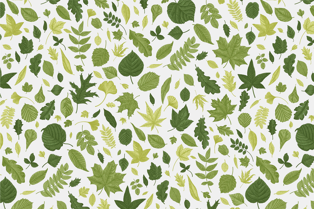 Leafy, a Decorative Illustration by olga.korneeva (Photo 9 of 16)