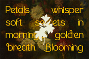 The Braven – Elegant Sans Serif, a Sans Serif Font by Vadovastd (Thumbnail 2 of 6)