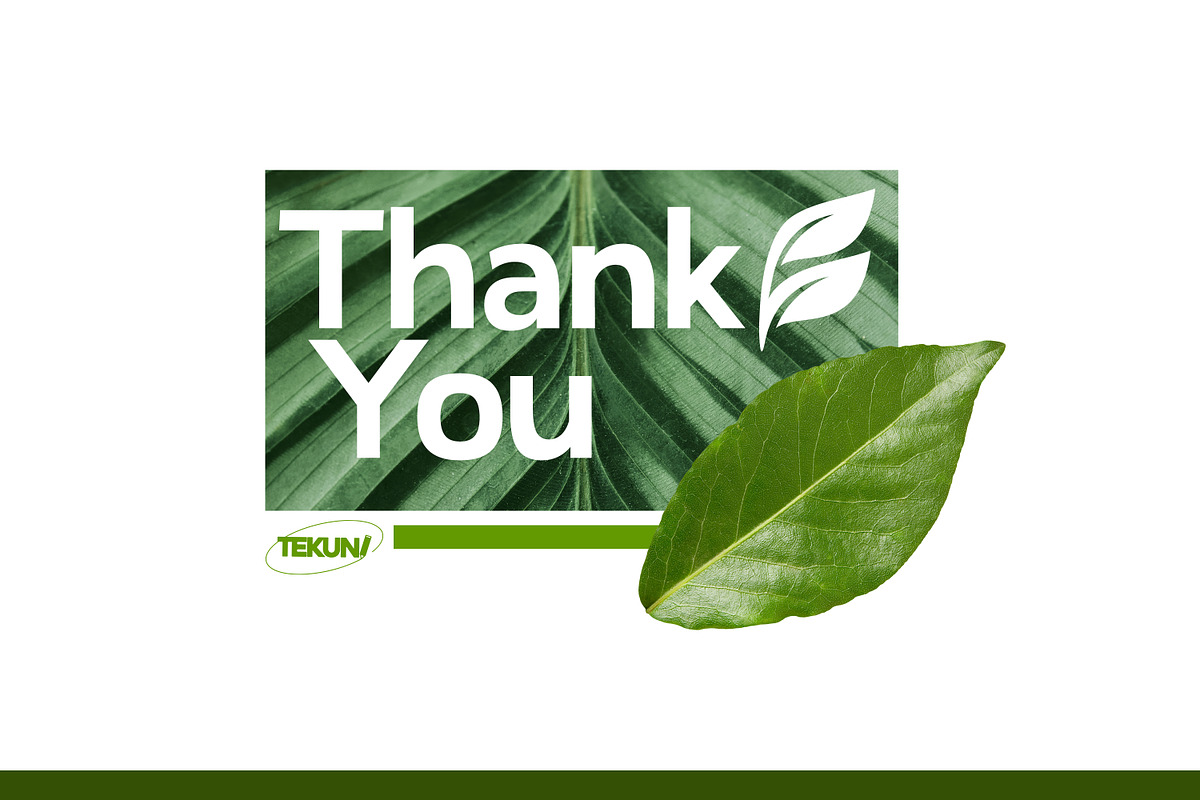 Leaf Logo Template Bundle, an Illustration by Tekuni (Photo 10 of 10)
