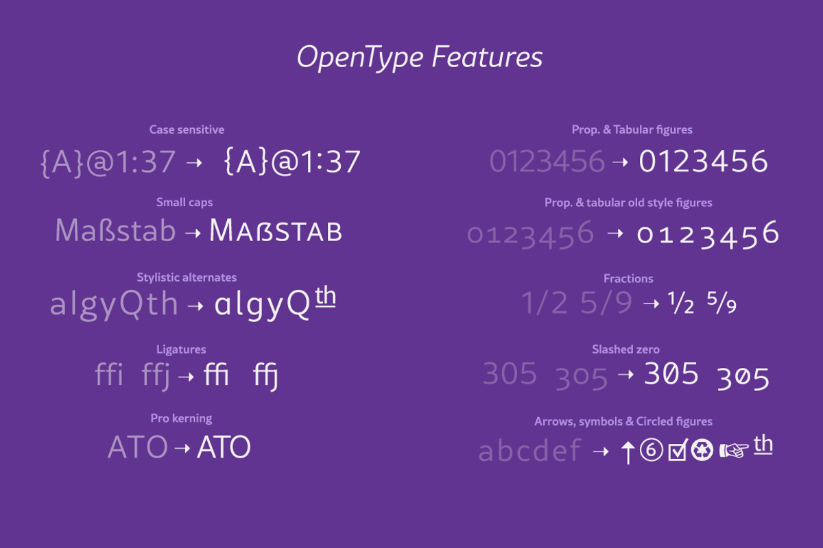 Rival Sans Font Family, a Sans Serif Font by Mostardesign Type Foundry (Photo 10 of 10)