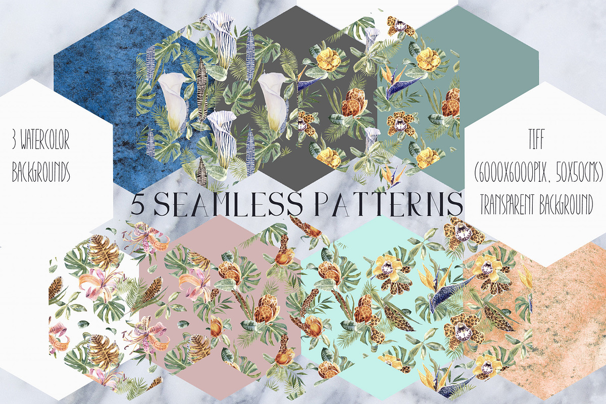 -40 Wild Trend Watercolor Collection, an Object Graphic by Cat In Colour (Photo 3 of 8)