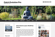 Catch Evolution Pro, a WordPress Template by Catch Themes (Thumbnail 4 of 4)