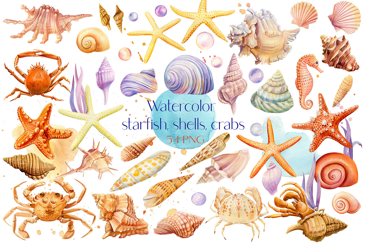 Watercolor starfish, shells, crabs, an Animal Illustration by Hanna Hryharenka (Photo 1 of 12)