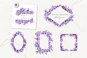 Sale 50% Lilac Blooming Spring, an Illustration by Olga Koelsch (Thumbnail 3 of 9)