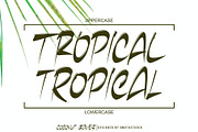 Coconut Leaves, a Handwritten Font by Omotu Studio (Thumbnail 7 of 10)